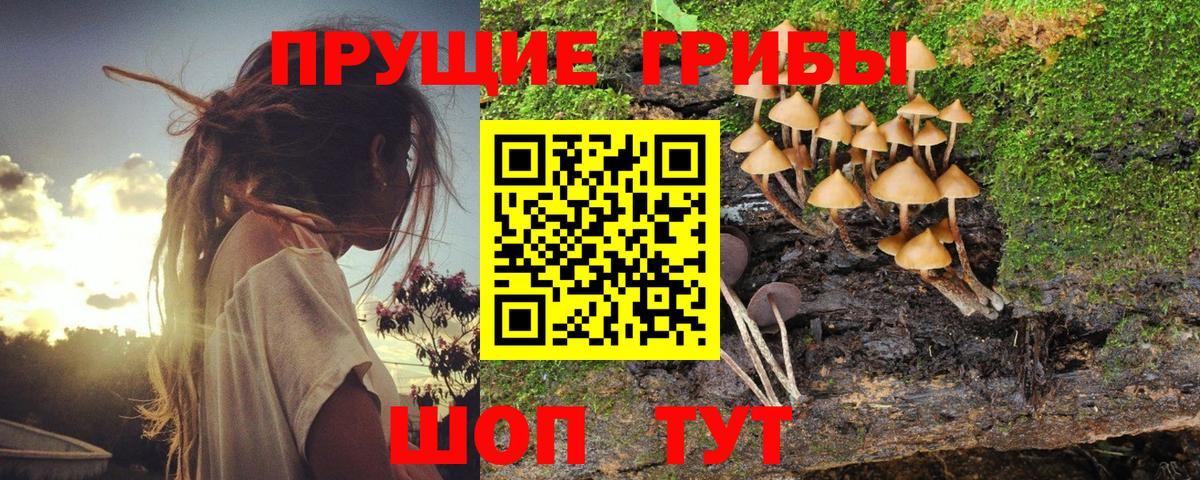 Семилуки  Псилоцибиновые грибы ЛСД  Вход с VPN 